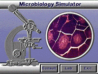 Microbiology Simulator