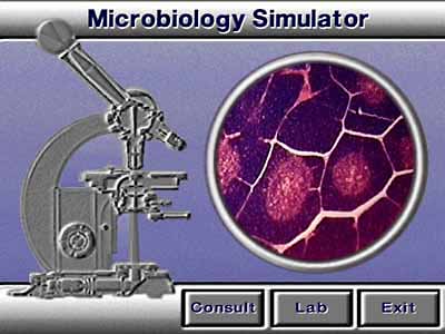 Microbiology Simulator